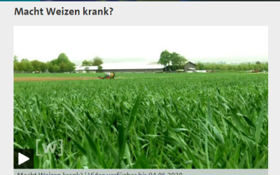 Macht Weizen krank? Ein guter TV Beitrag in der ARD